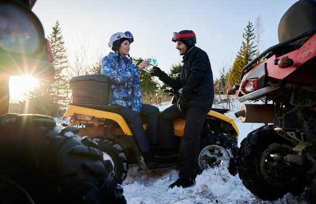 Choosing the Right Products for Mud Removal
